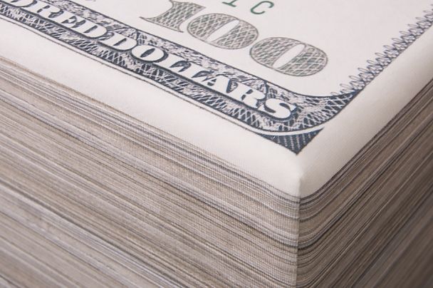 Пуф "Доллары" - Вид 2