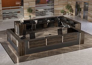 Onix reception - Вид 10