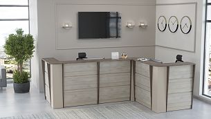 NEW LINE reception - Вид 1