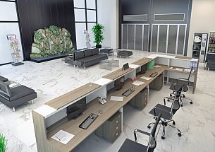 Style вяз благородный - Вид 5