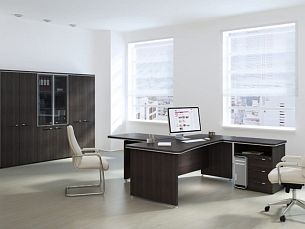 Фокус для руководителей - Вид 2