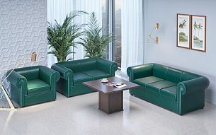 Честер Лайт - Вид 1