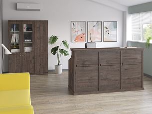 Bern reception дуб апрельский - Вид 0