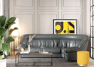 Эдельвейс - Вид 0