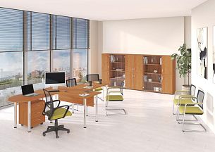 Формула МХ ольха европейская - Вид 2