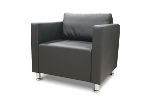 Робин - Вид 5