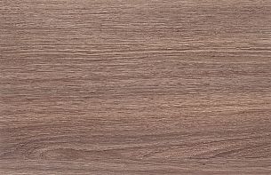 NEW LINE reception - Вид 6