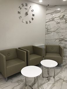 Скайнет - Вид 3