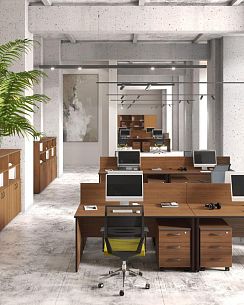 Дин-Р - Вид 7