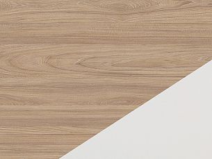 Asti вяз - Вид 9