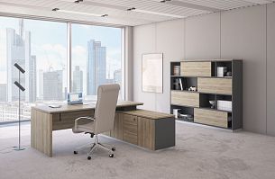 City дуб гладстоун светлый - Вид 1