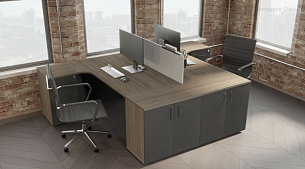 Вяз Благородный - Вид 0