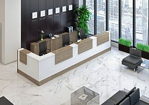 Style вяз благородный - Вид 3