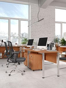 Формула МХ ольха европейская - Вид 1