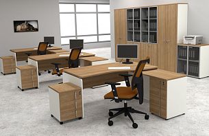 Аккорд персонал - Вид 2