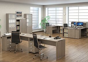 Style вяз благородный - Вид 1