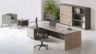 Dali орех сахара - Вид 1