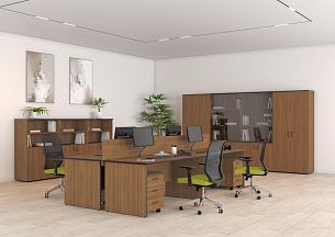 Дин-Р - Вид 0