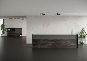 DALI reception - Вид 0