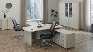 Bonn дуб феррара - Вид 0