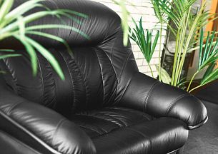 Эдельвейс - Вид 5