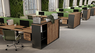 Дуб Табак - Вид 0