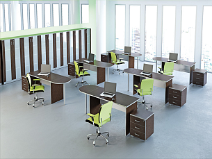 ПРАКТИКА / PRAKTIKA - Вид 8