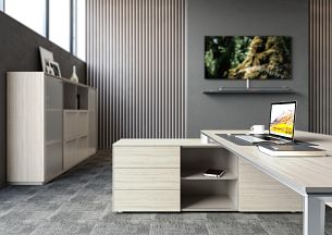 Atlas ясень наварра - Вид 2