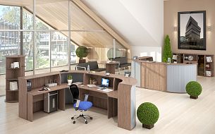 Imago ясень шимо - Вид 2