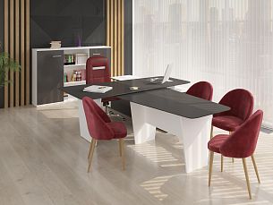 Министр - Вид 1