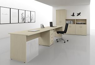 Imago клен - Вид 0