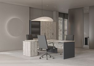 Зион Лайт / Zion Light - Вид 3