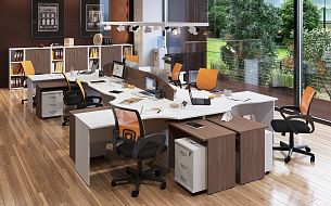 Imago ясень шимо - Вид 1