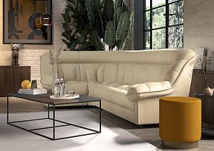 Эдельвейс - Вид 1