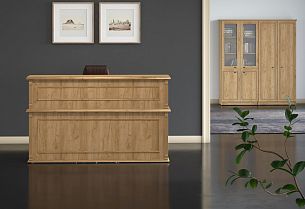 RAUT reception - Вид 1