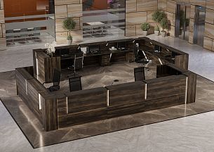 Onix reception - Вид 11